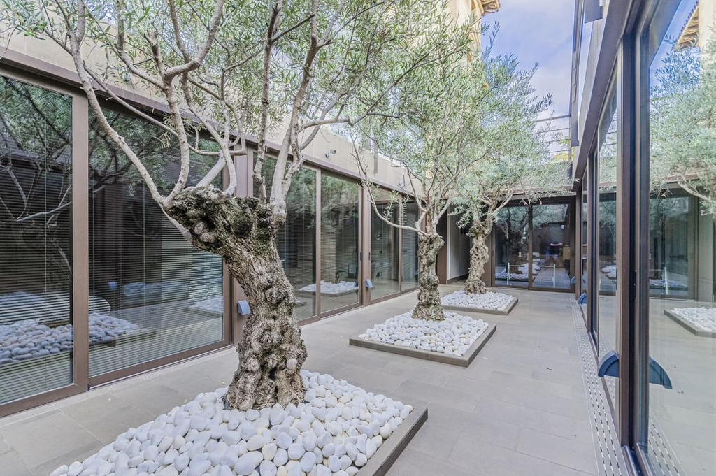 Особняк в Барселоне после реставрации